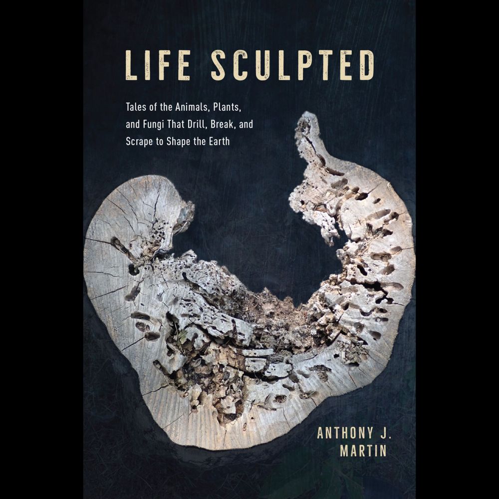 Life Sculpted: Tales of the Animals, Plants, and Fungi …