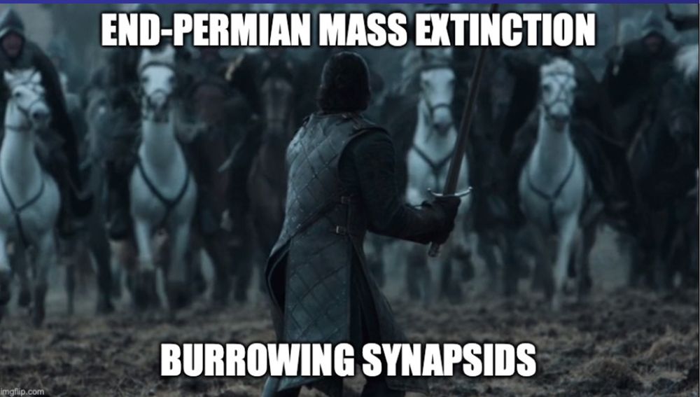 Still image from 'Game of Thrones' with Jon Snow holding his sword as a cavalry charges toward him, turned into a meme by labeling the cavalry as "End-Permian Mass Extinction" and Jon Snow as "Burrowing Synapsids."
