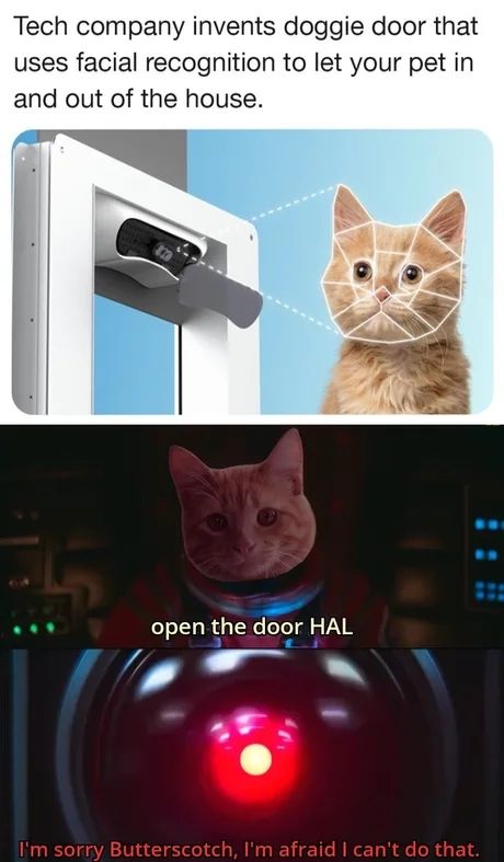 A meme in three parts. The top panel shows a high-tech pet door with facial recognition technology scanning a cat’s face. The text above reads: 'Tech company invents doggie door that uses facial recognition to let your pet in and out of the house.'

The middle panel is a reference to 2001: A Space Odyssey, featuring a cat’s face edited onto a scene from the movie. The text reads: 'open the door HAL.'

The bottom panel shows HAL 9000, the AI from the movie, with its glowing red eye. The text at the bottom reads: 'I'm sorry Butterscotch, I'm afraid I can't do that.'