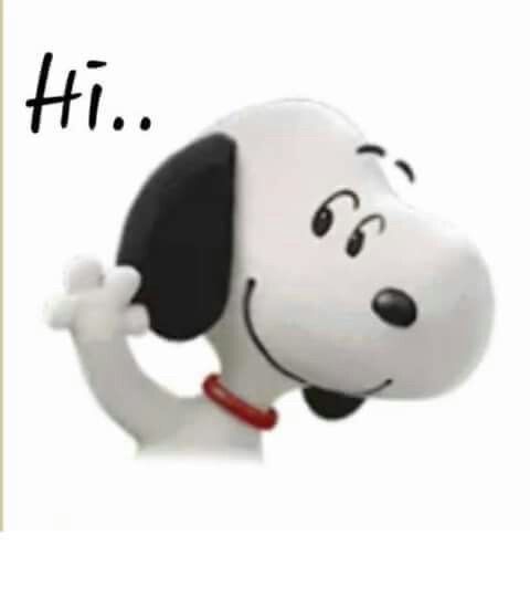 Comment image