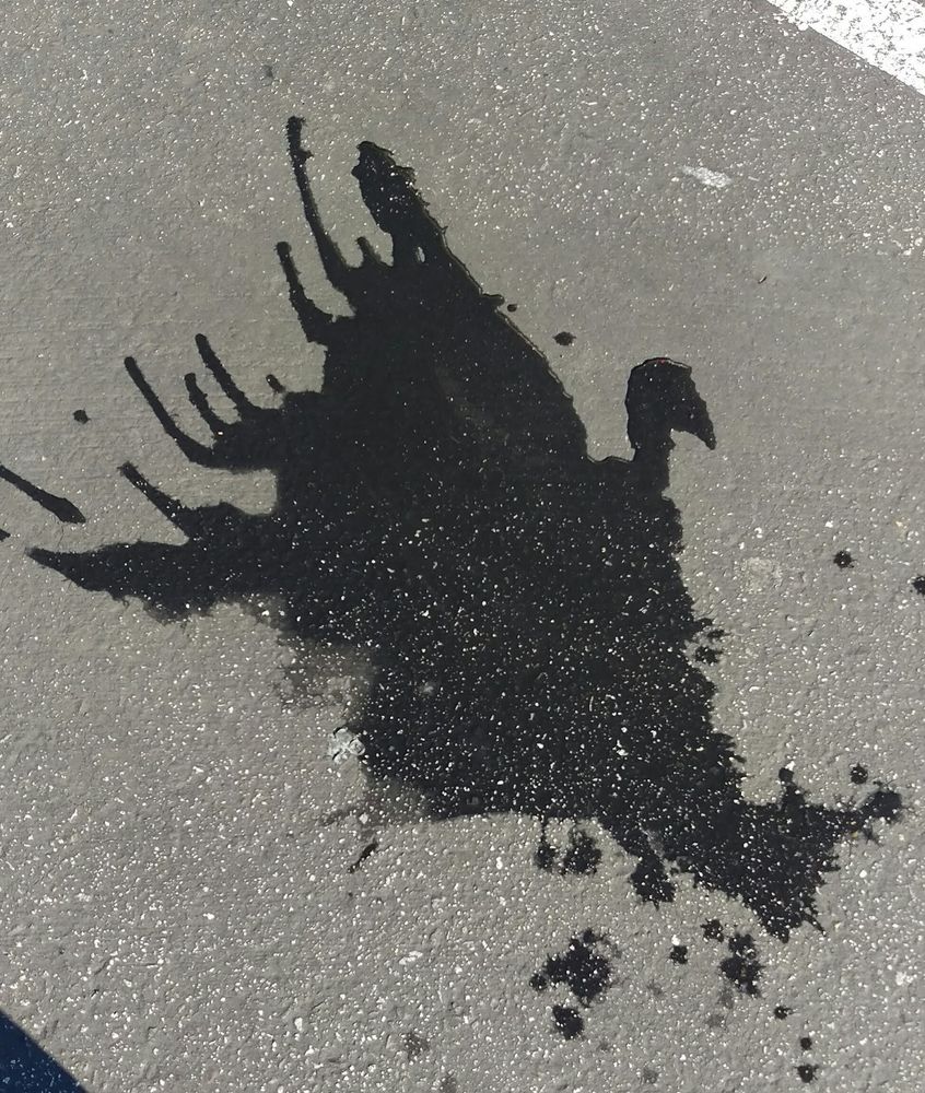 Photo of a spilt liquid on the ground that resembles a turkey.