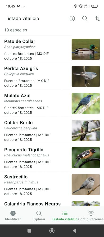 Captura de pantalla de la app Merlin. Con seis especies de aves identificadas en la CDMX.