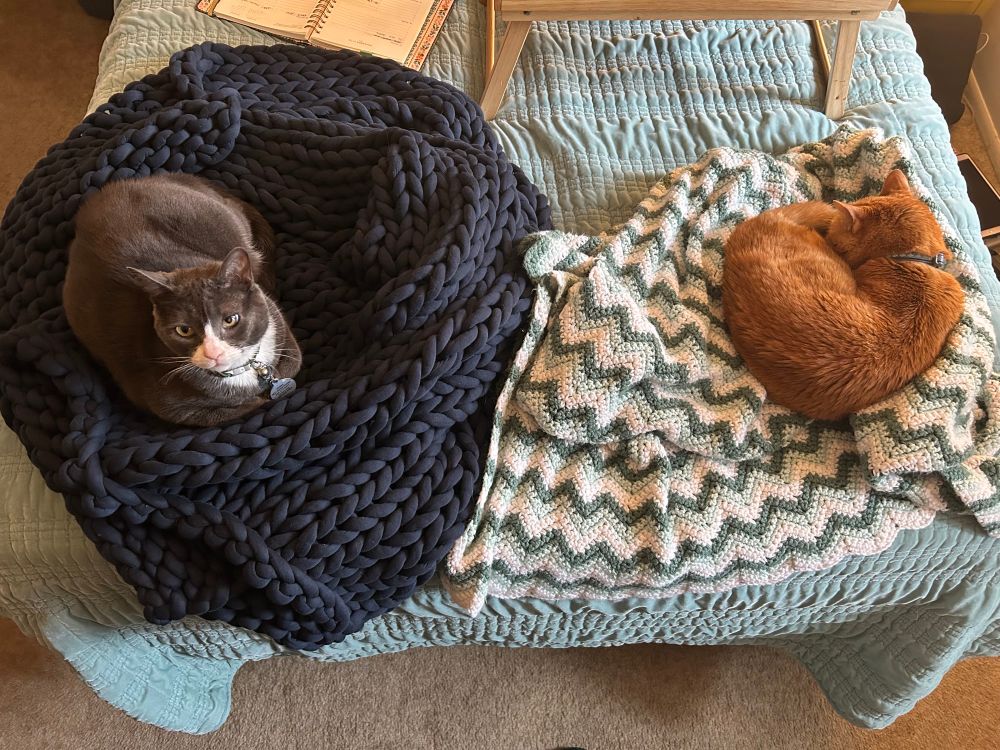 A gray-and-white cat curled up on the foot of a bad on a woven navy blue blanket next to an orange cat curled up on a striped crocheted blanket. 