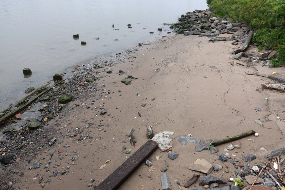 Expanded view of the Hudson River Shore. You can still see the Broccoli! 
