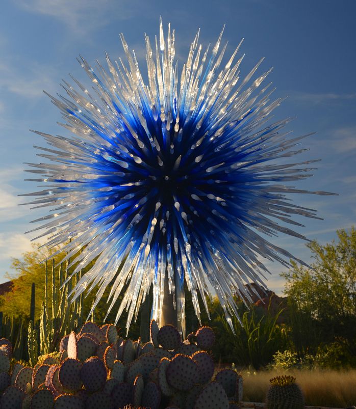 A very spiny blue glass sculpture with white tips catching the evening sun stands above various Sonoran Desert cacti