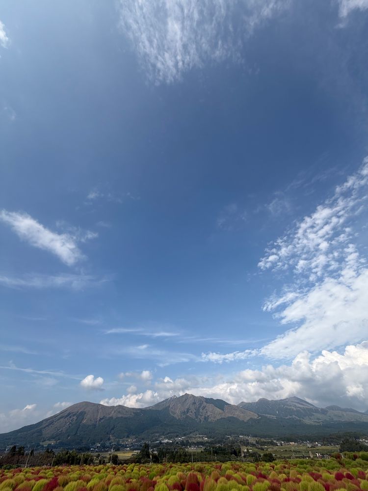 青空が広がる下、阿蘇山の山並みとカラフルなコキアの畑が広がる風景写真