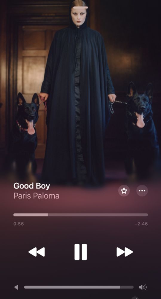 Screenshot aus Apple Music vom Cover der Single Good Boy von Paris Paloma