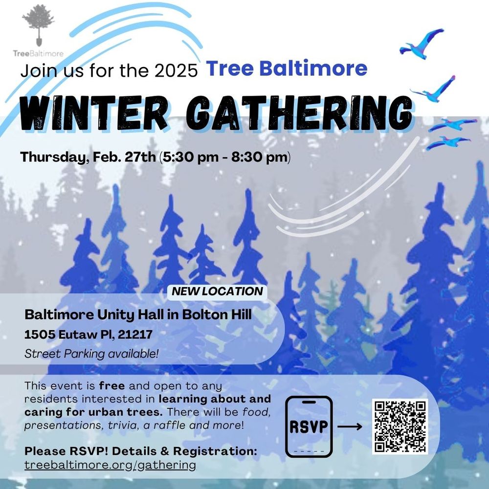 Flyer image of wintry scene with ice blue trees, text and QR code