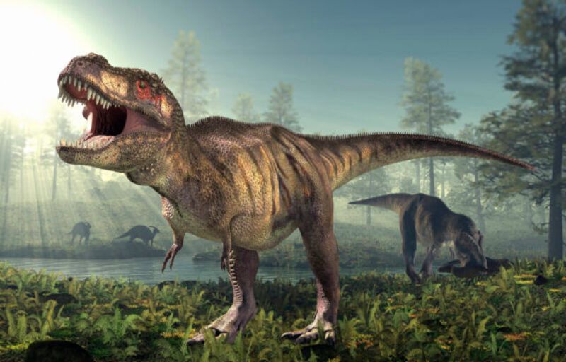 Artist’s image of a swampy scene with dinosaurs roaming the background, and a large T. rex with its mouth open in the foreground.