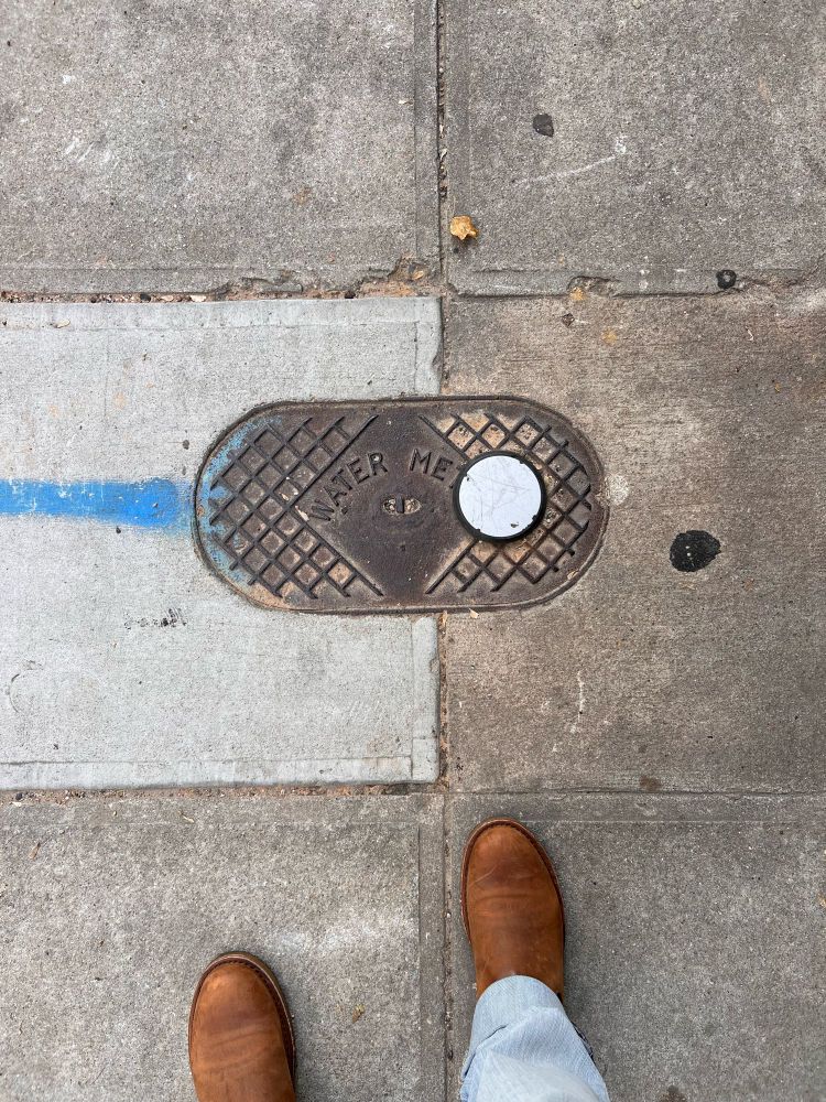 A water line cover in a sidewalk in San Francisco looks like a toggle component often seen on settings pages in apps.