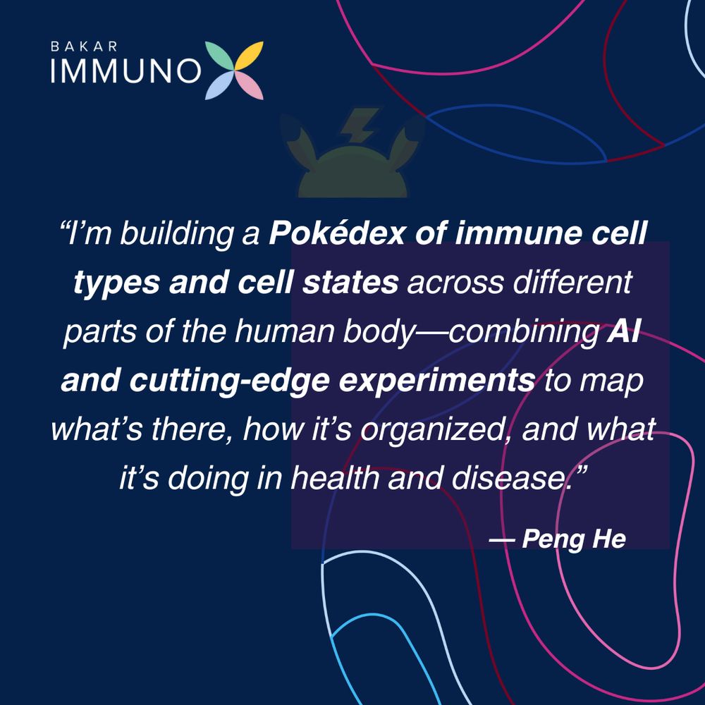 There is the ImmunoX logo in the top right corner and a Pikachu icon in the center of the panel. Text excerpt from Dr. Peng He’s Q&A interview displayed clearly on the same navy background with the multicolored circles: "I’m building a Pokédex of immune cell types and cell states across different parts of the human body—combining AI and cutting-edge experiments to map what’s there, how it’s organized, and what it’s doing in health and disease."