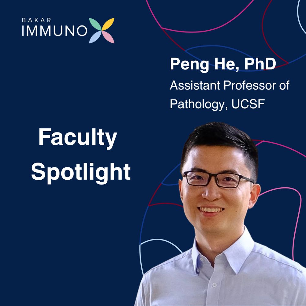 Portrait cutout of Dr. Peng He with his name and credentials above the image. Text reads “Faculty Spotlight.” The ImmunoX logo is in the top right corner on a navy background with two multicolored circles along the right side.