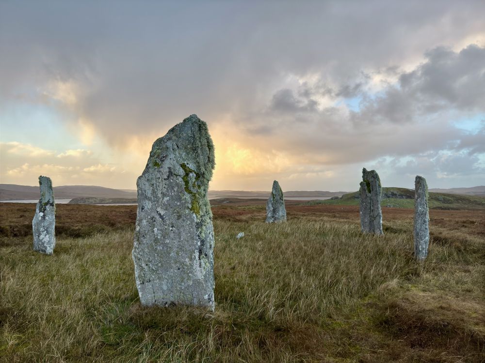 Five modestly-sized standing stones are in view, arranged in a circle on rough grassland and backed by low golden sun shining through the clouds. Lichen is visible on the closest stone