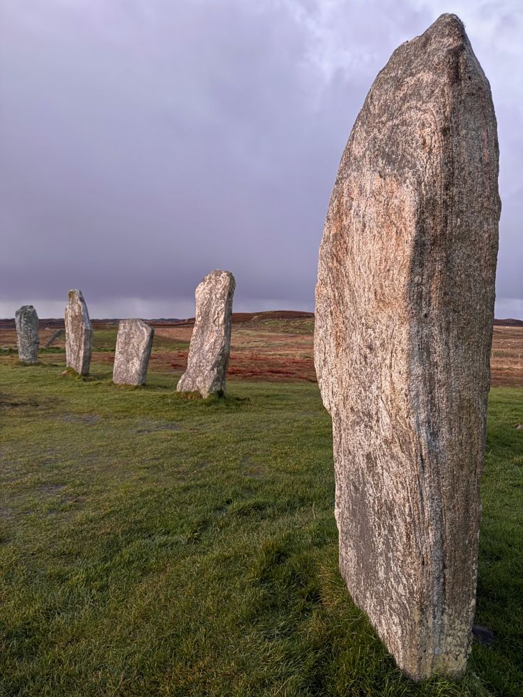 Five stones standing upright on cropped grass, one close and prominent on the right, in afternoon twilight against a grey sky with distant brownish fields beyond