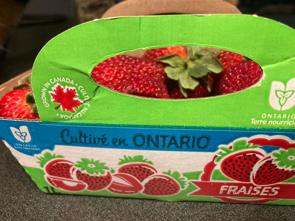 Ontario strawberries 🍓