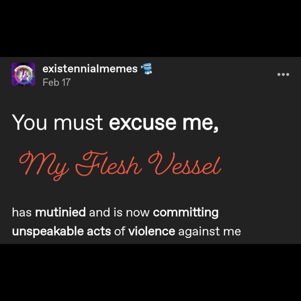 existennialmemes *
Feb 17
• • .
You must excuse me, My Flesh Vessel
has mutinied and is now committing unspeakable acts of violence against me