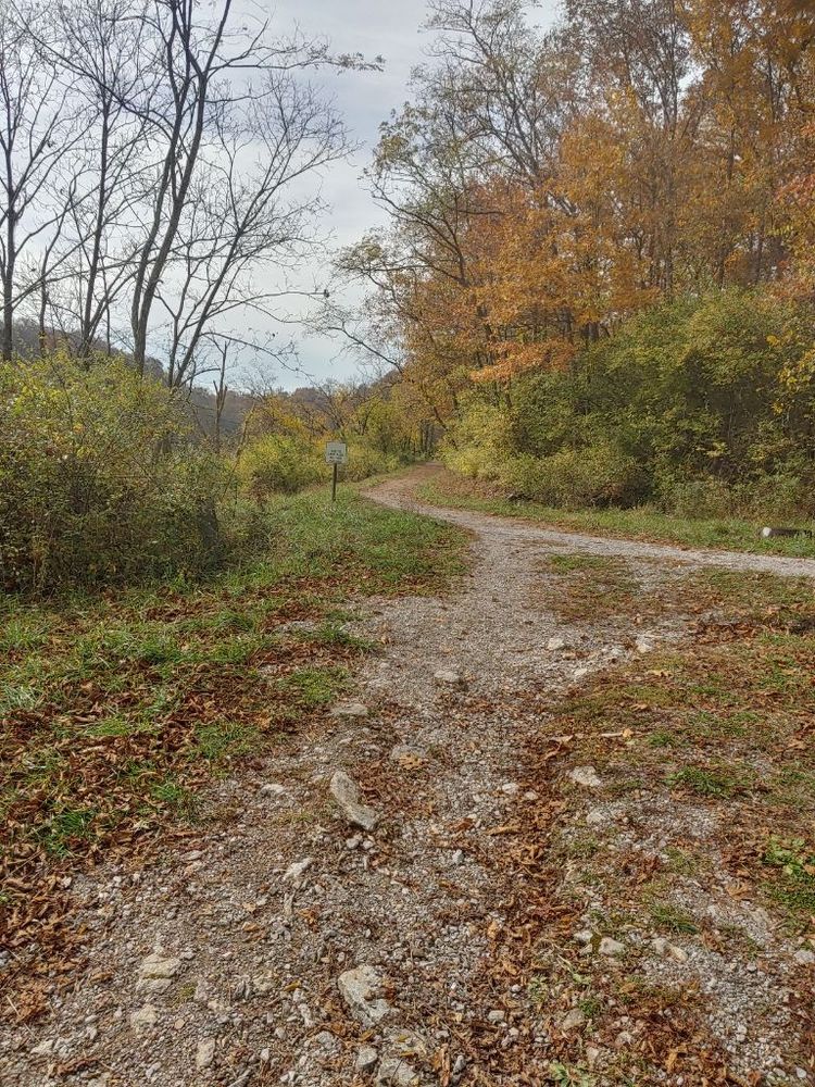An intersection between two gravel pathways, one curving into the other. The intersection cuts between a clearing, with a denser section of trees being to the right. A no-littering sign sits on the left side of the pathway, just before a large curve that extends futher into the woods