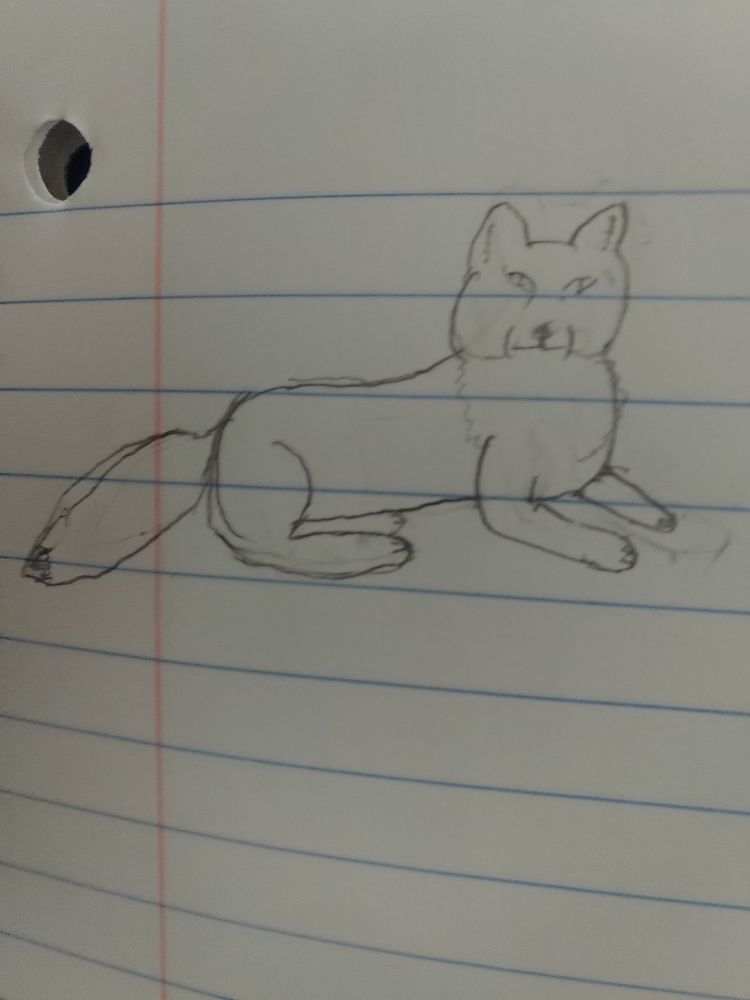 A drawing of a fox, done on cheap notebook paper with a cheap mechanical pencil
