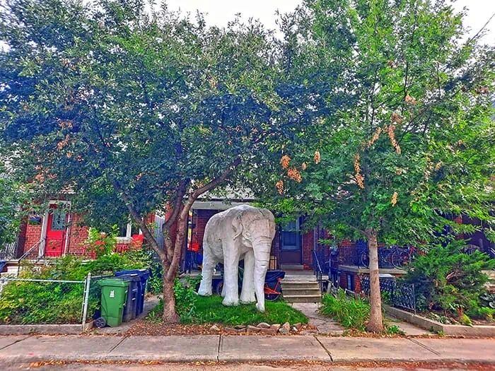 A 9-foot-tall elephant statue in white plaster over chicken wire stands on the front lawn on a two-story brick house, framed by medium-sized leafy trees.