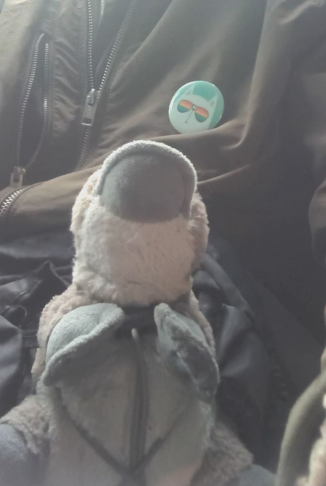 Ein plüsschnabeltier, das mit den Rucksackschnüren am Rucksack befestigt ist. Der Rucksack sitzt in der Bahn neben mir.