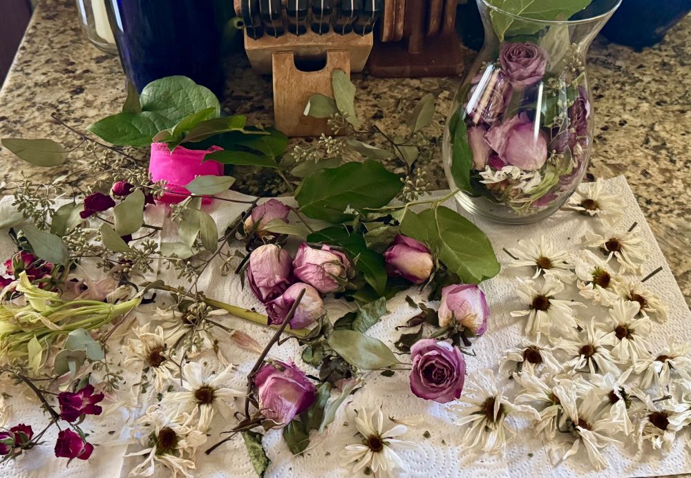 photograph of dried pink roses, daisies, and green leaves on a paper towel laying out to dry on a quartz kitchen countertop. there is a clear glass vase with several pieces of dried florals dropped inside showing the beginning stages of an arrangement