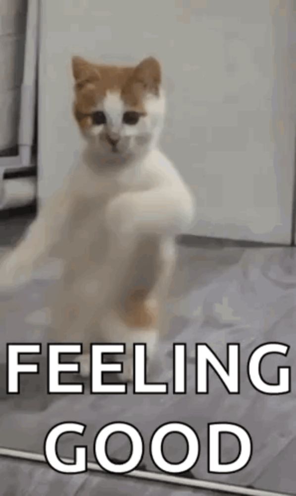 a cat is dancing in front of a mirror with the words `` feeling good '' written below it .