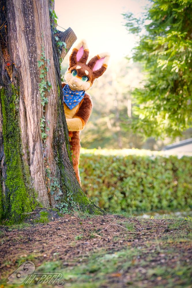 Photo of an anthropomorphic rabbit peaking from behind a tree