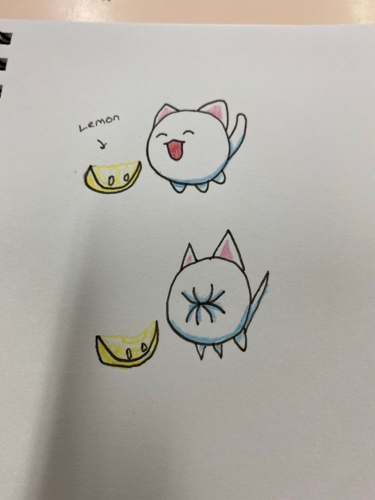 Roundcat eating a lemon and imploding.