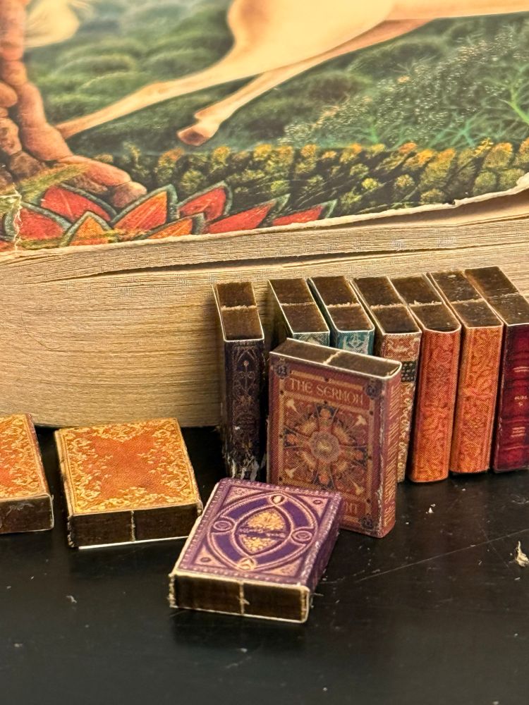10 tiny books with a normal sized book behind it