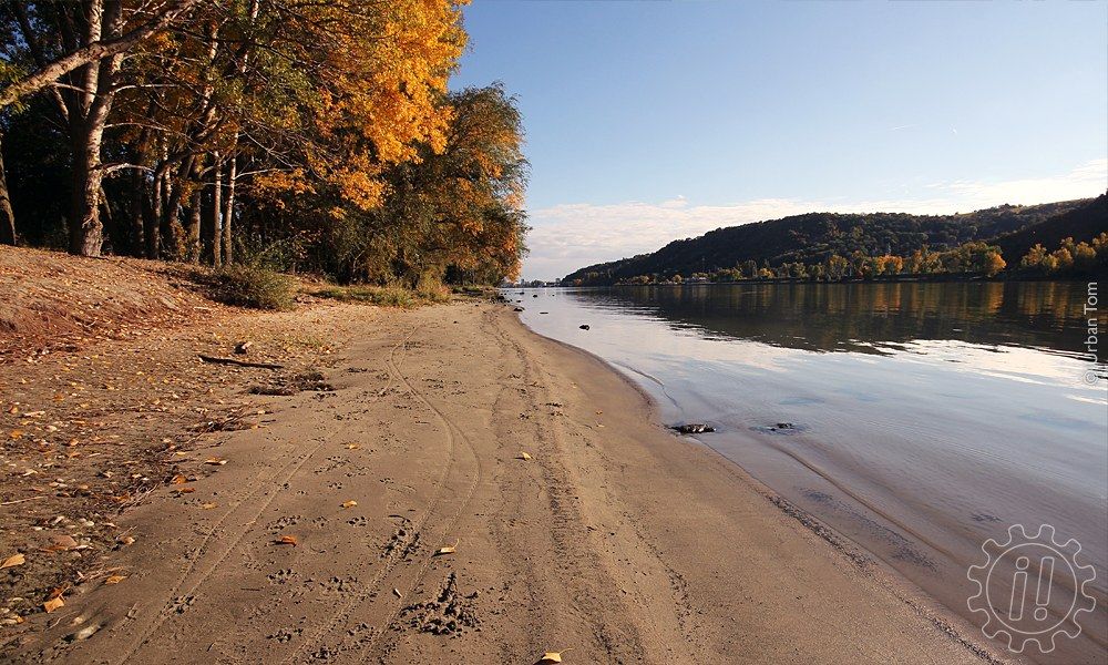 Blick über einen Sandstrand der Donauinsel Richtung Stadtzentrum. Links stehen am Ufer herbstlich gefärbte Pappeln und Weiden, rechts fließt die Donau mit sehr ruhiger Oberfläche.