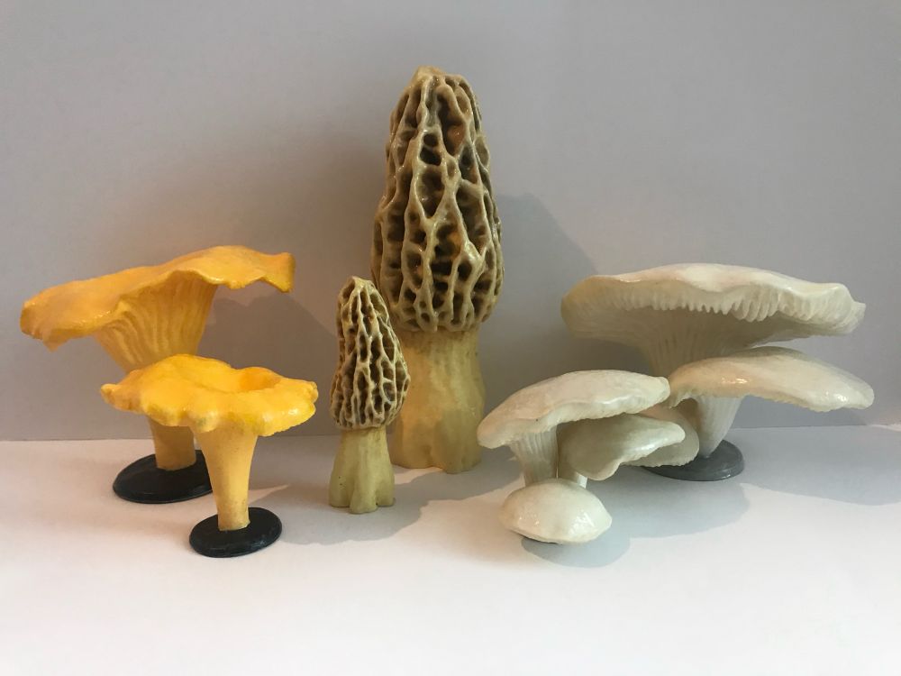 A photo showing an array of 3D-printed and hand-painted mushrooms, painted in naturalistic colors. There are three types of mushroom shown—morels, chanterelles, and oyster mushrooms. For each type there is a larger one and a smaller one. The mushrooms are shown on a plain white background.