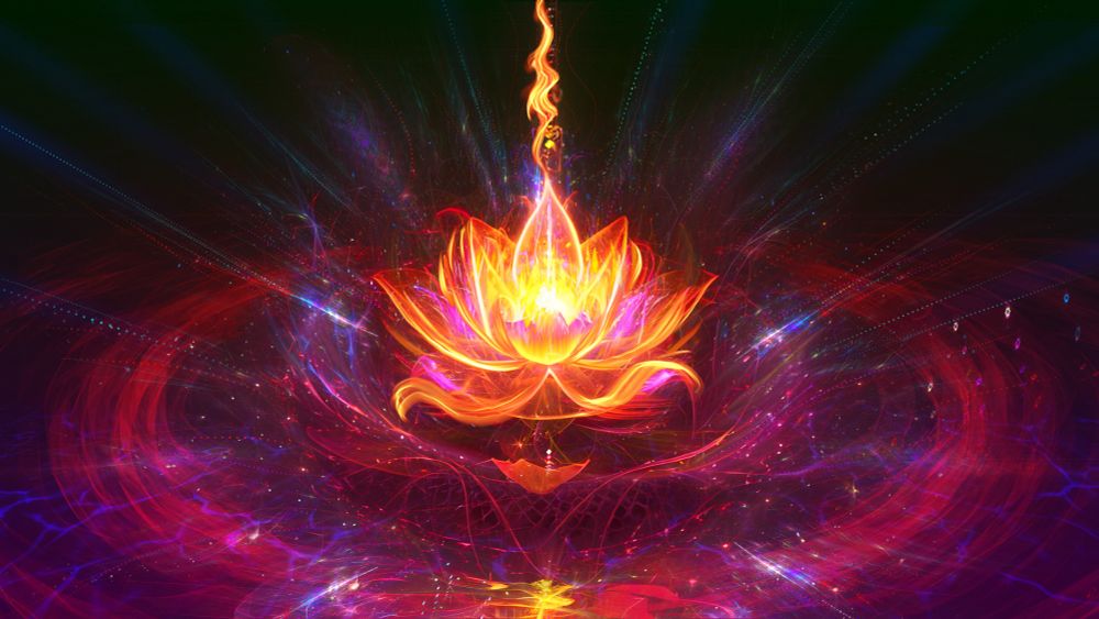 Fractal flame art with Al-generated elements and digital overpainting that depicts a fiery pink-red lotus flower on a dark background. Sprays and ripples of color and texture emanate from the flower. The background is a gradient of dark red at the bottom and black at the top.