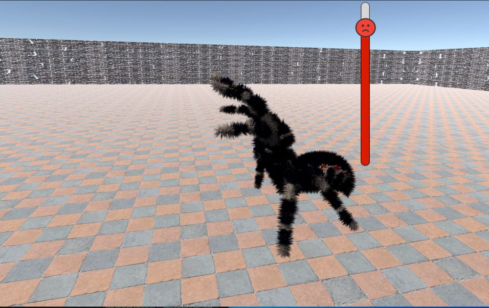 A close by black fuzzy spider