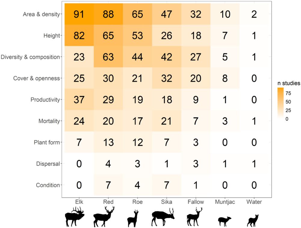The number of studies reporting the occurrence of each deer species, together with the different effects on woody vegetation that were studied. Note that the numbers in this matrix add up to more than the total number of studies (n = 455), as many studies reported more than one deer species present and more than one effect category.