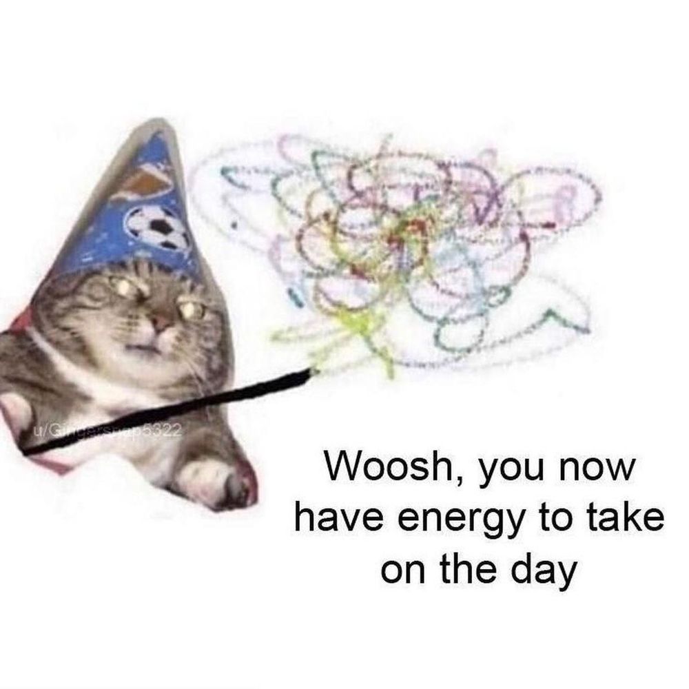 magical wizard cat w text that says “whoosh, you now have energy to take on the day”