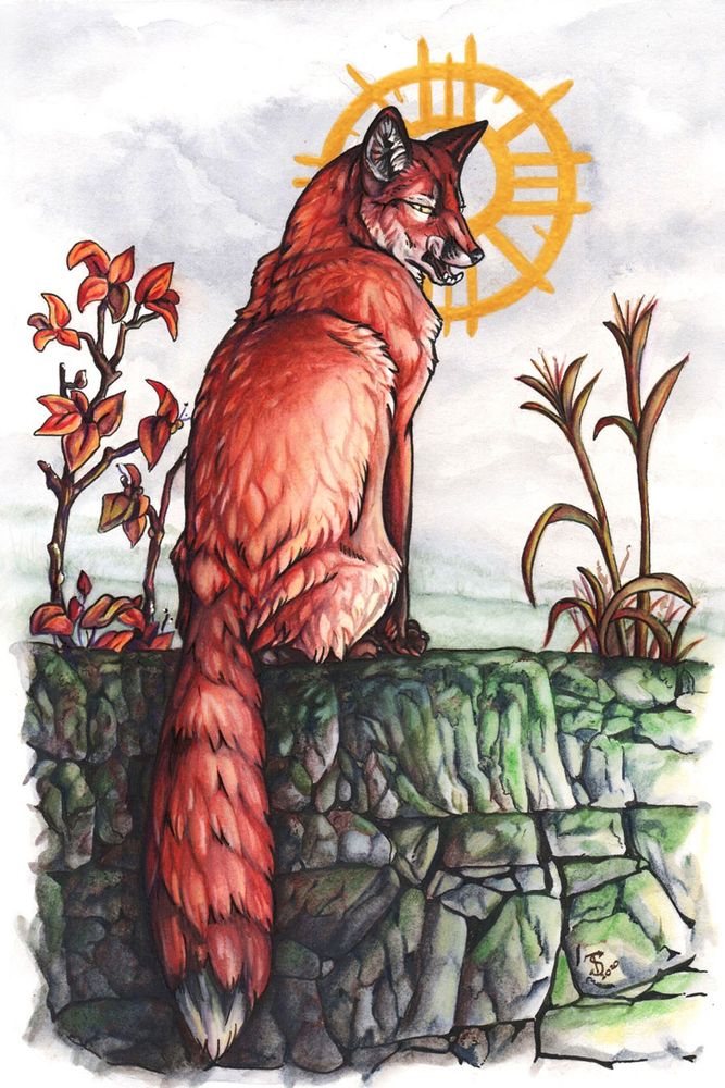 Red fox with a halo done in  watercolor pencil