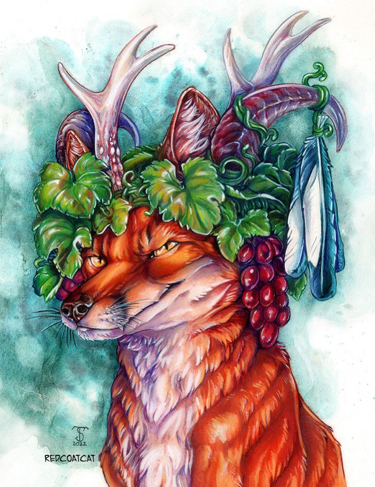 A Red Fox wearing wine leaves, Roe deer, goat and magpie feathers as a crown like Bacchus. In watercolour and colour pencil.