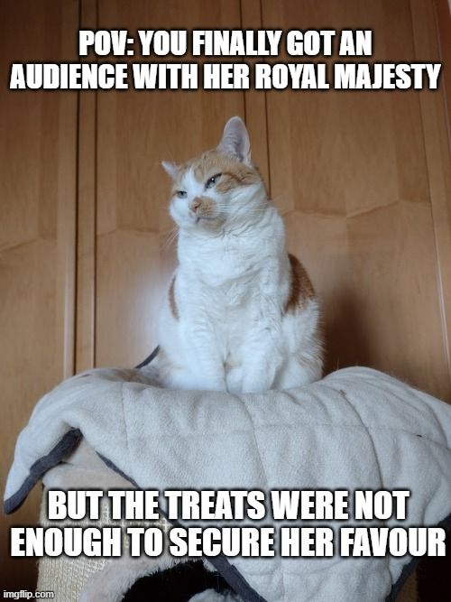 Picture of a cat in a pose of royal disdain.

Top text: POV: You finally got an audience with her royal majesty

Bottom text: but the treats were not enough to secure her favour.