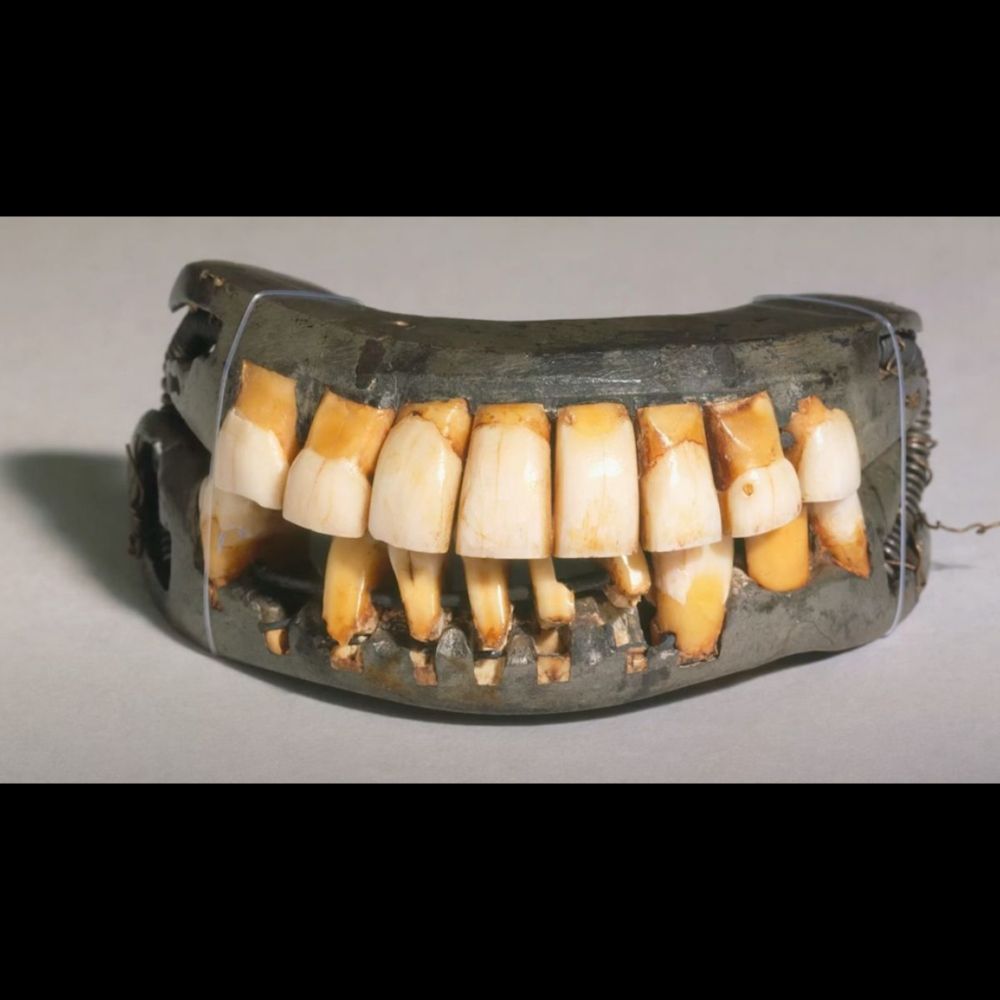 Vends dents de soldats, très peu servi: l'incroyable commerce des «Waterloo teeth»