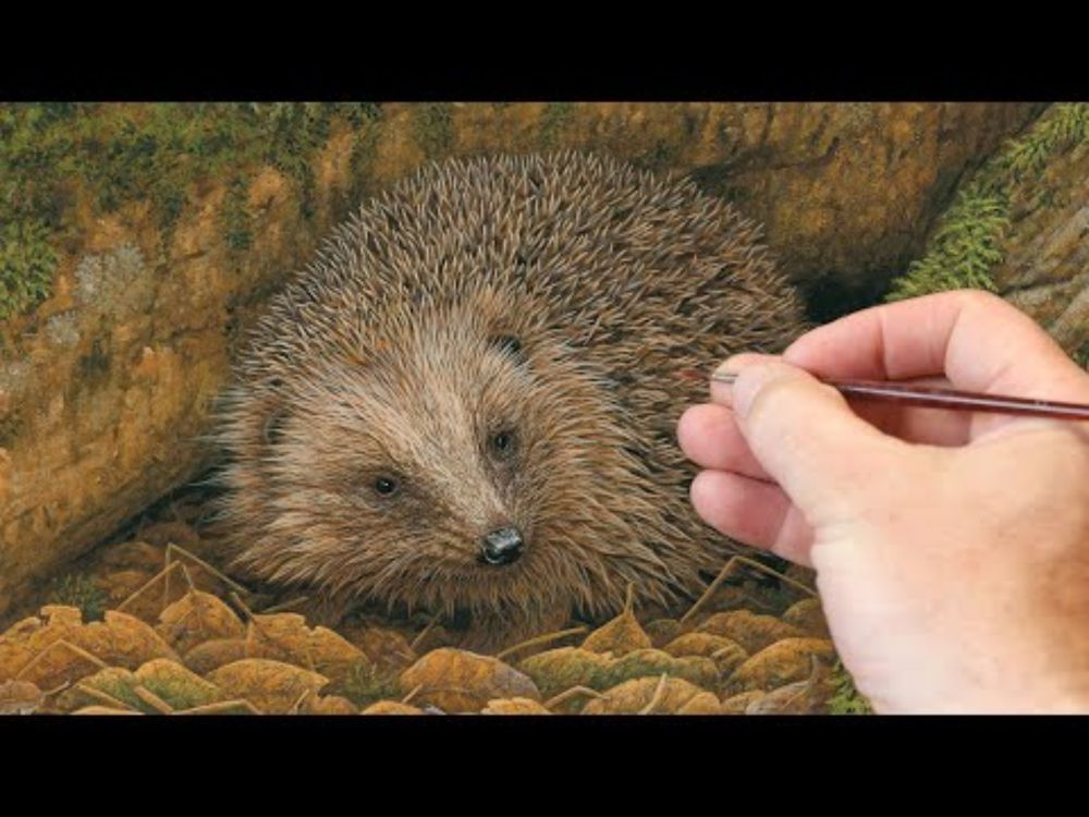 The Art of Painting a Hedgehog | Wildlife Art | Robert E Fuller