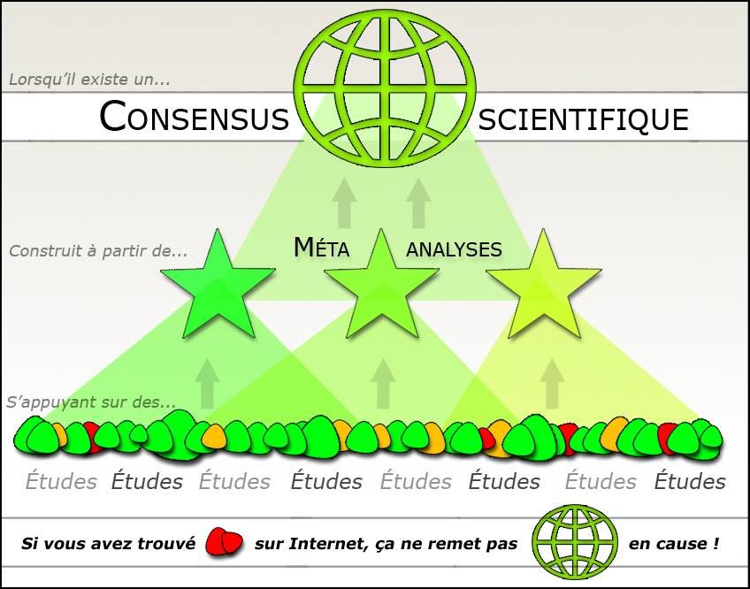 S'il existe un consensus scientifique construit à partir de méta-analyses s'appuyant sur des études, si vous avez trouvé une étude contradictoire sur internet, ça ne remet pas en cause le consensus.
