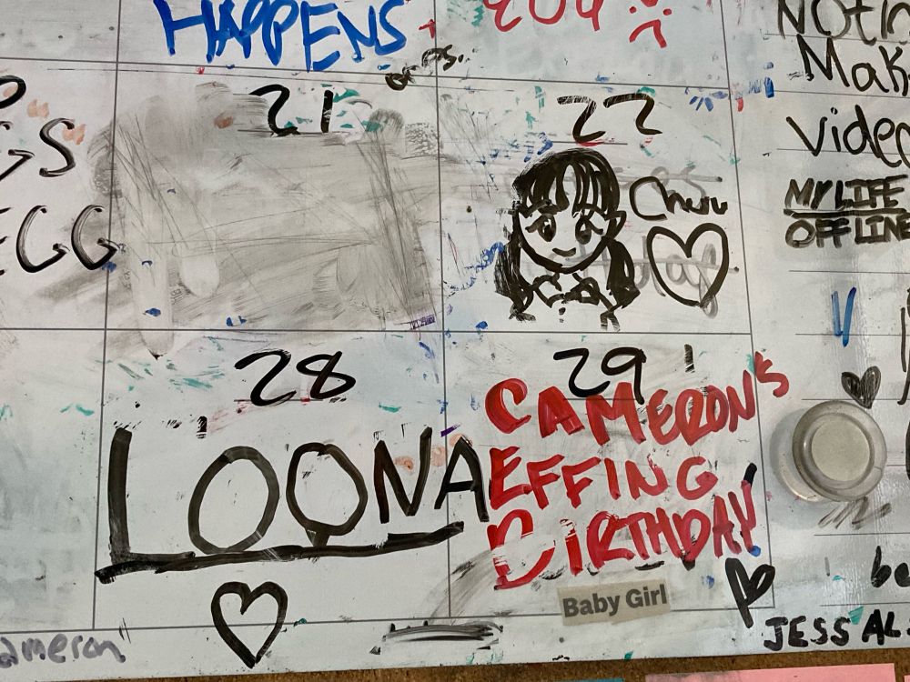 camerons calendar with my drawings