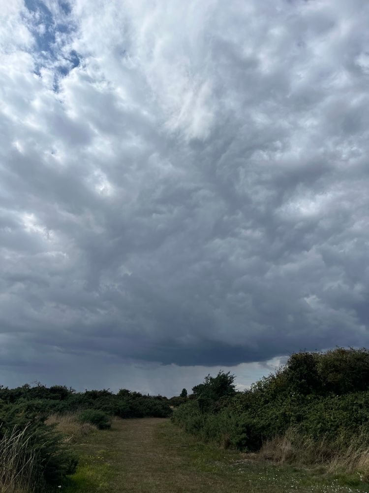 Dark, dramatic, rain bearing clouds. 