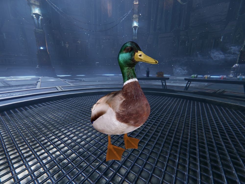 3D model of a mallard duck inside the game Warhammer 40,000: Darktide