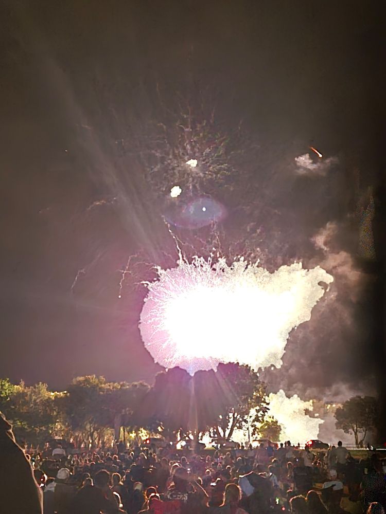 Chaotically exposed photograph of a firework explosion in the night sky.