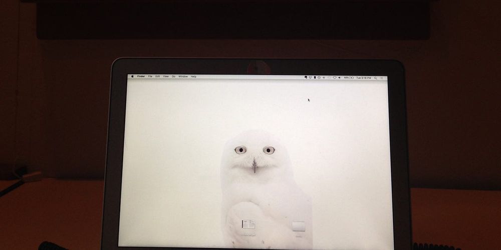 Preview