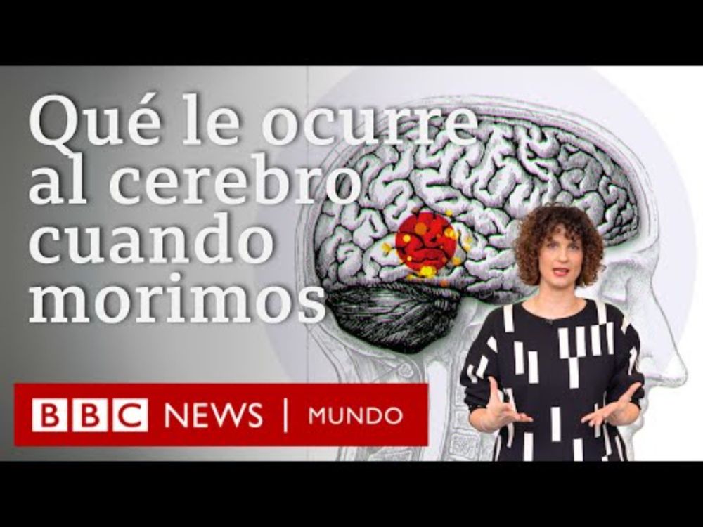 Qué pasa en el cerebro cuando estamos muriendo: lo que descubrió una neurocientífica de ese momento