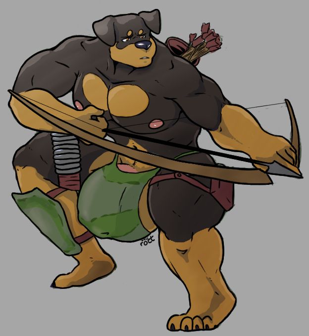 beefy anthropomorphic rottweiler crouching with a bow and arrow at the ready. he is mostly nude, with ill-fitted underwear covering his large hyper genitalia, some thigh packs, and one shin-guard.
