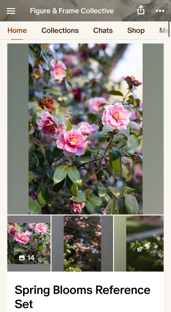 New references for spring 🌸