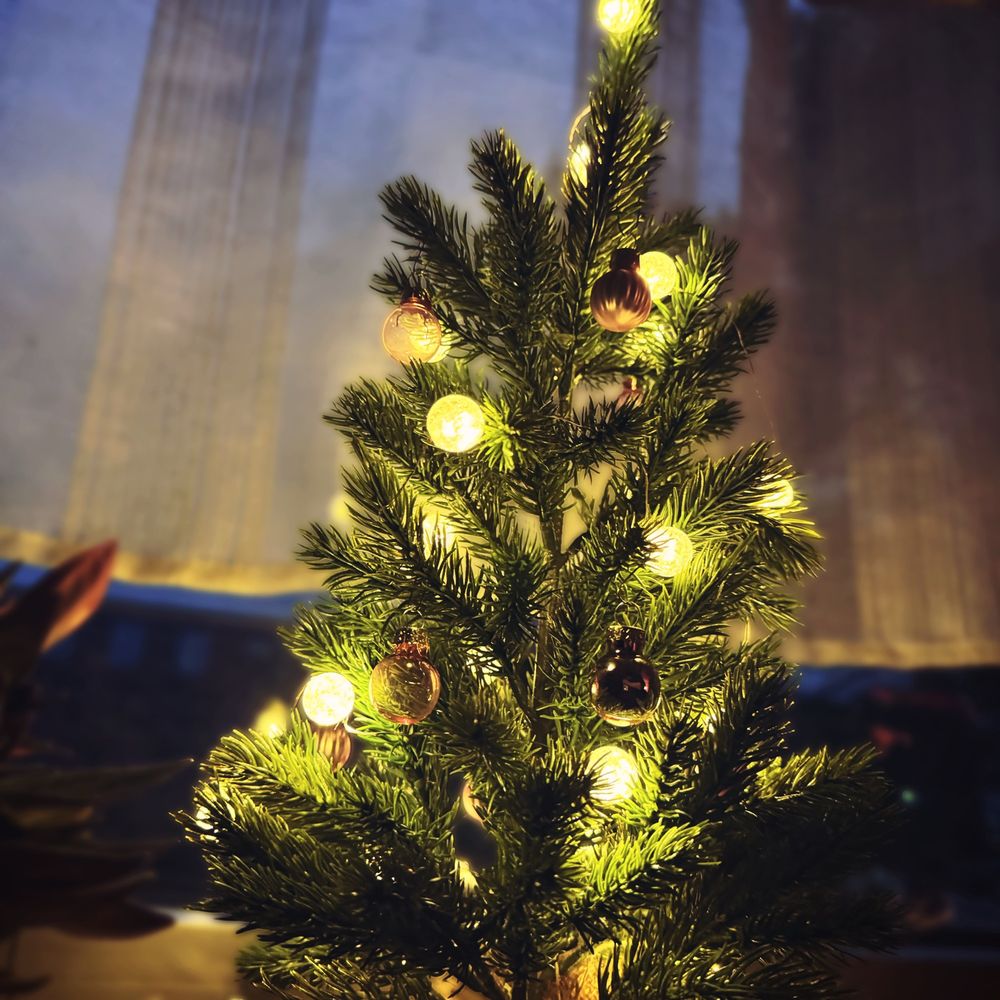 30cm ‘tall’ artificial Christmas tree alight by a window.
